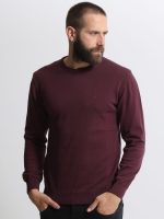 Ανδρική Λεπτή Πλεκτή Μπλούζα 10-667 Μπορντό