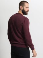 Ανδρική Λεπτή Πλεκτή Μπλούζα 10-667 Μπορντό - Image 4