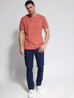 Ανδρικό Βαμβακερό T-shirt AMERICO 207075 Dusty - Image 3