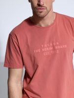 Ανδρικό Βαμβακερό T-shirt AMERICO 207075 Dusty - Image 4