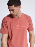 Ανδρικό Βαμβακερό T-shirt AMERICO 207075 Dusty